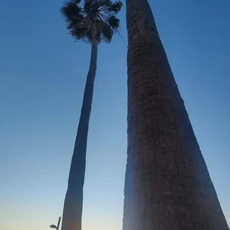 Apartamento Laura F363